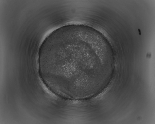 X0000092251030200710051254