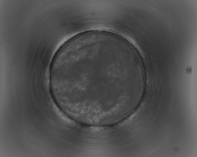 X0000092251032200710051254