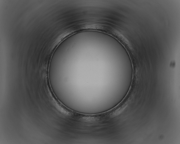 X0000092251033200710051254