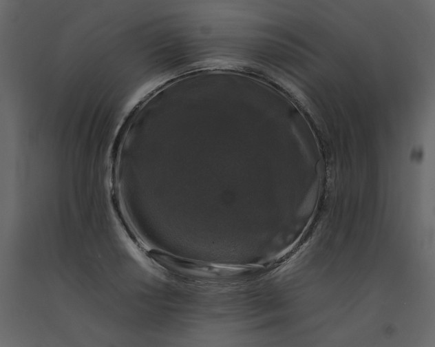 X0000092251034200710051254