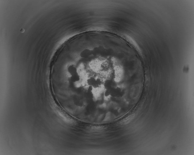 X0000092251035200710051254