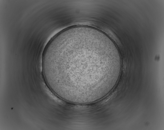 X0000092251036200710051254