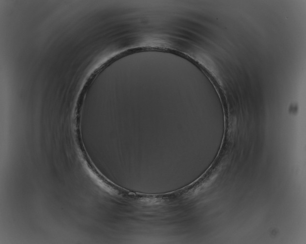 X0000092251037200710051254