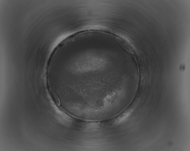 X0000092251038200710051254