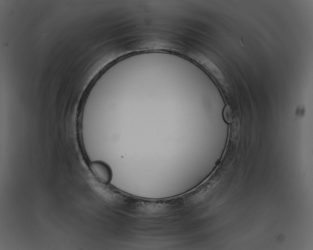 X0000092251039200710051254