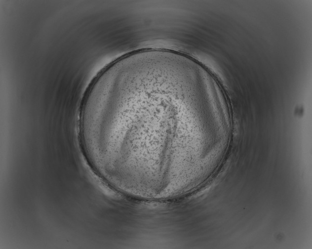 X0000092251040200710051255