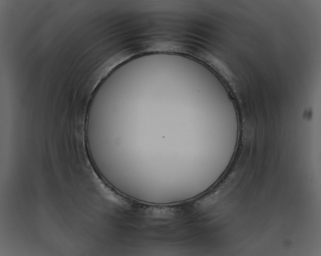 X0000092251041200710051255