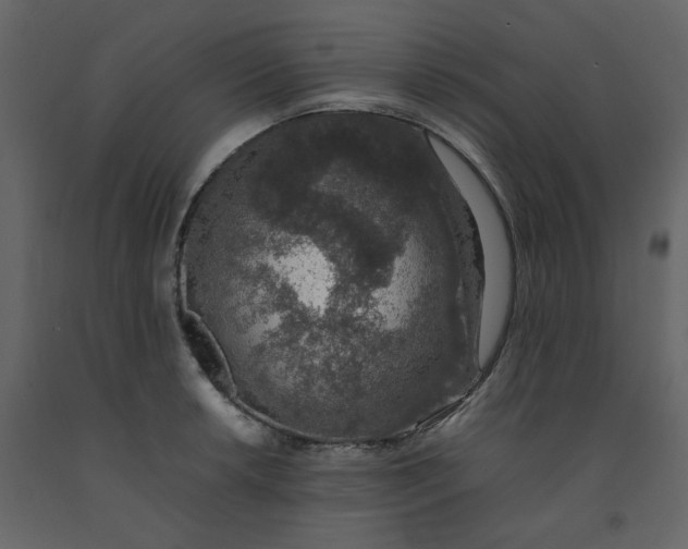 X0000092251042200710051255