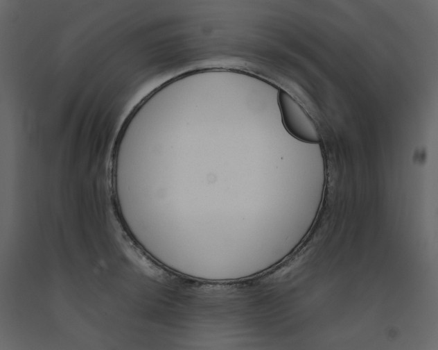 X0000092251044200710051255