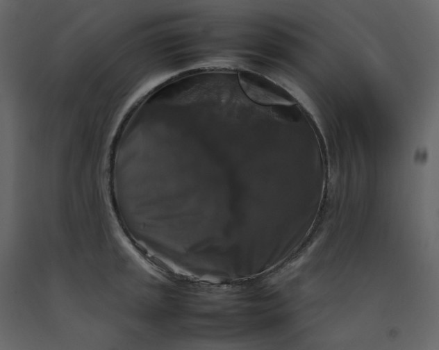 X0000092251045200710051255