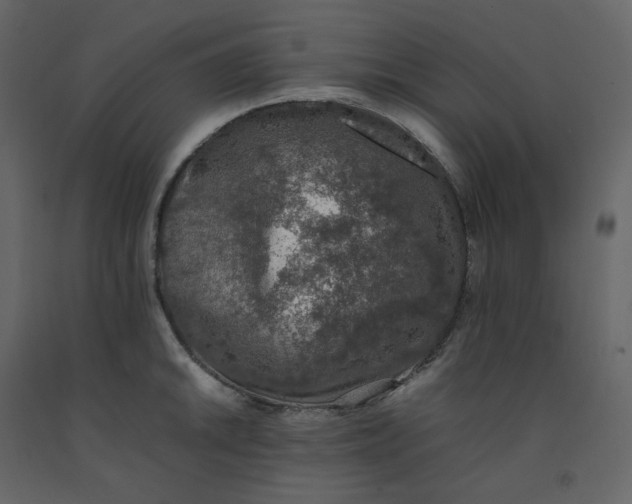 X0000092251046200710051255