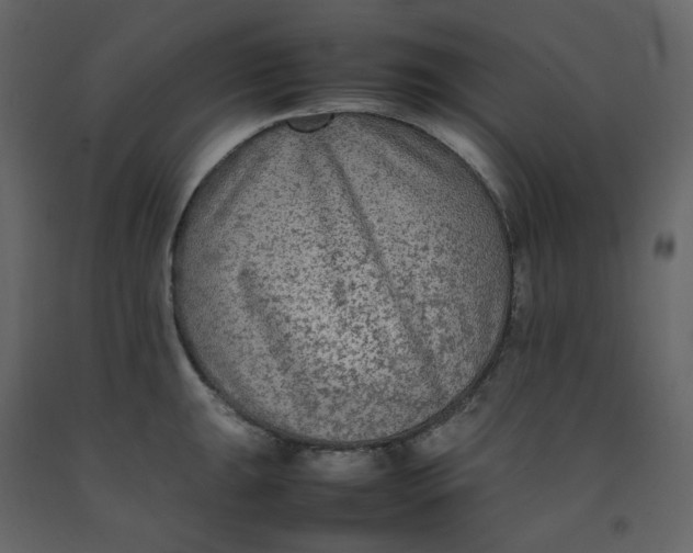 X0000092251047200710051255