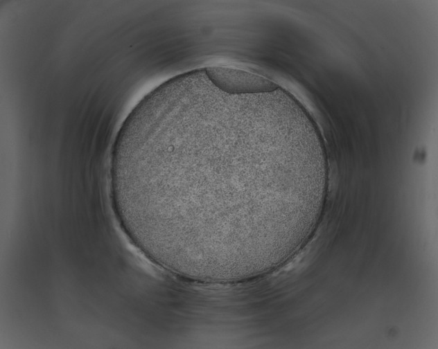 X0000092251048200710051255