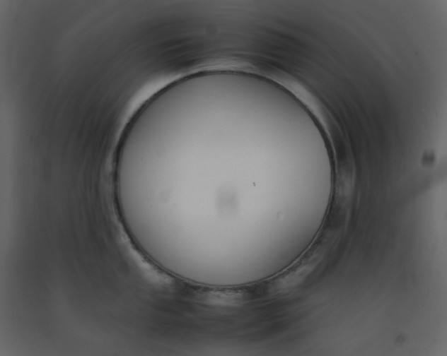 X0000092251053200710051255