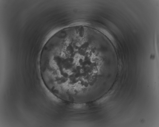 X0000092251055200710051255