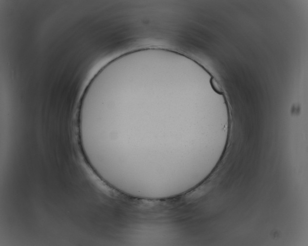 X0000092251056200710051255