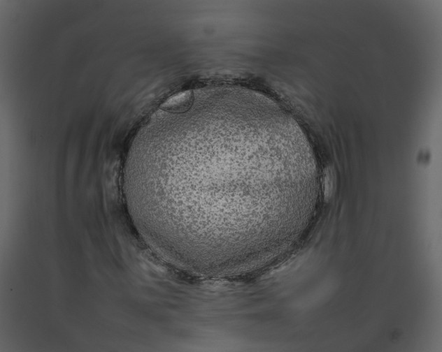 X0000092251059200710051254