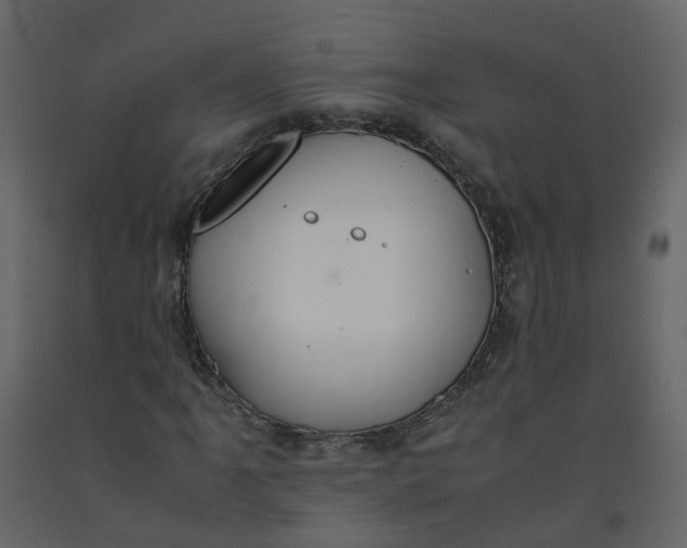 X0000092251061200710051254