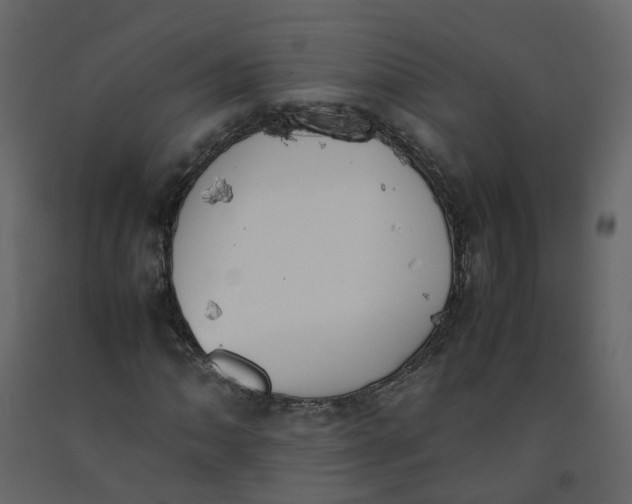 X0000092251062200710051254