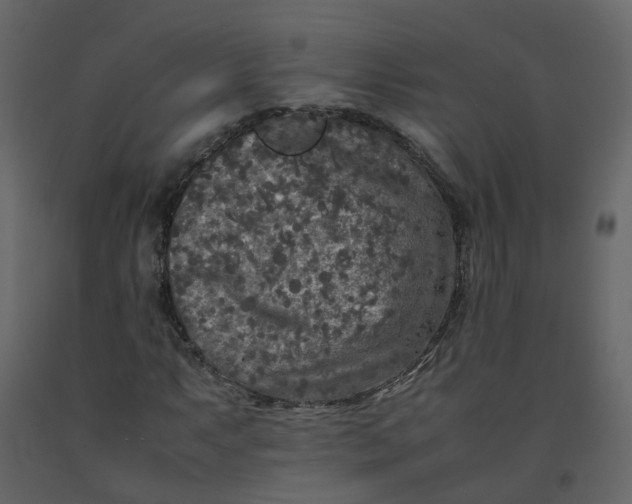 X0000092251063200710051254