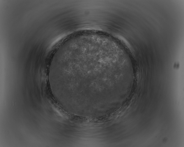 X0000092251064200710051254