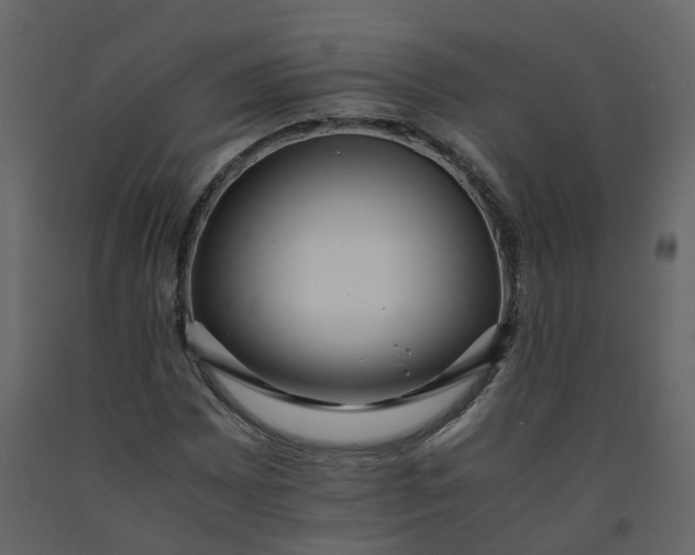 X0000092251065200710051254