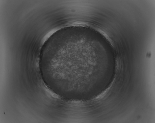 X0000092251066200710051254