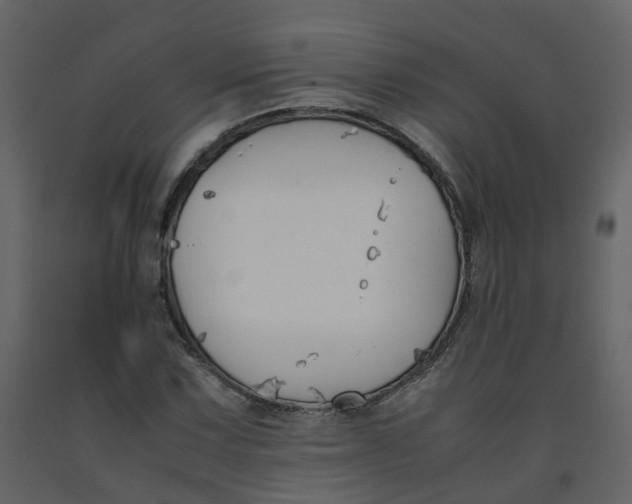 X0000092251067200710051254