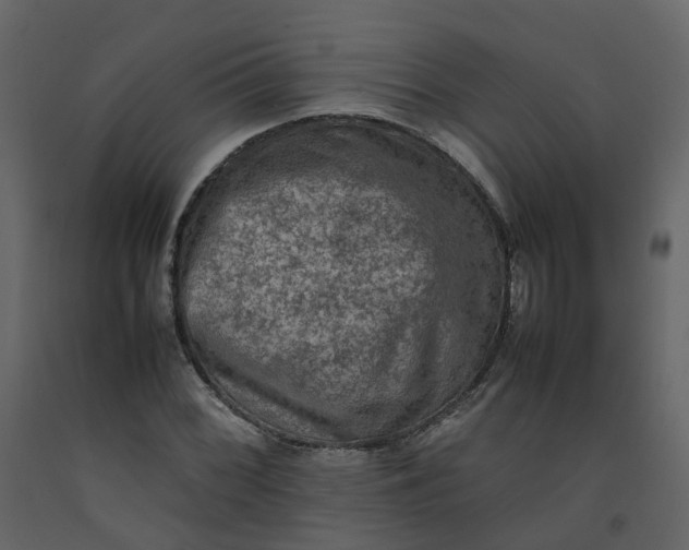 X0000092251068200710051254