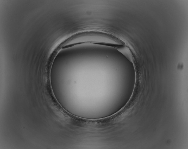 X0000092251069200710051254