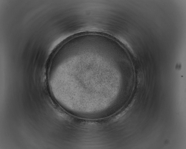 X0000092251070200710051254