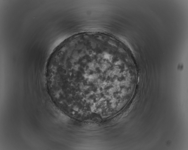 X0000092251071200710051254