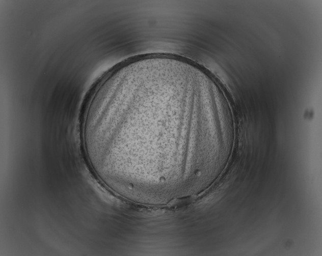 X0000092251072200710051254