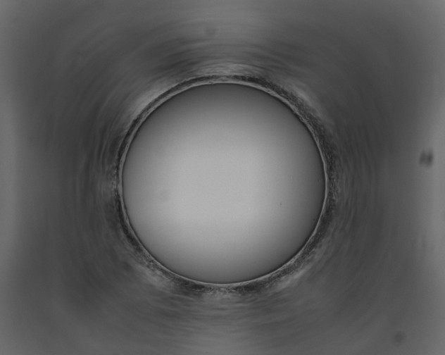 X0000092251073200710051254