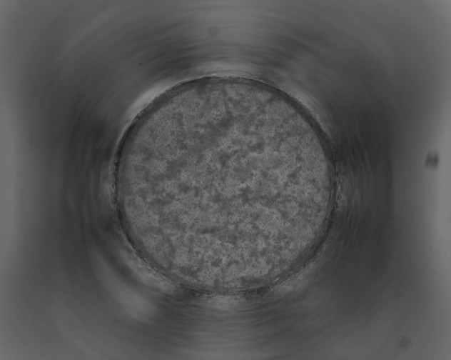 X0000092251074200710051254