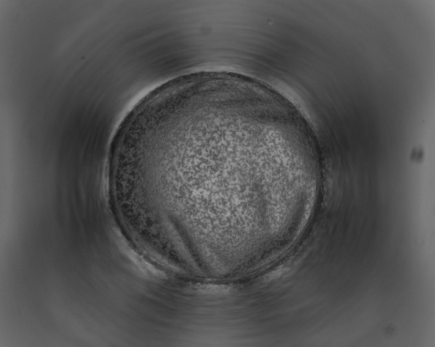 X0000092251076200710051254