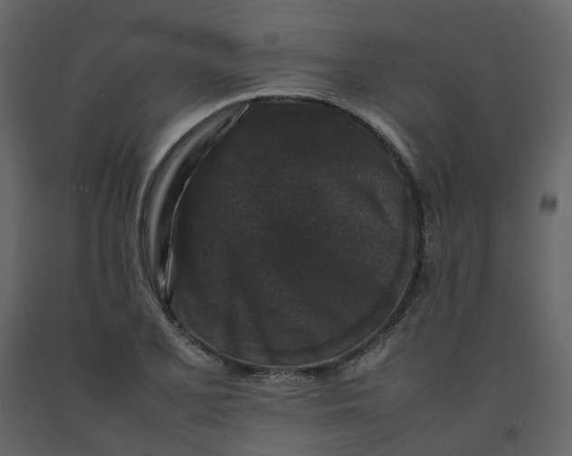 X0000092251077200710051254