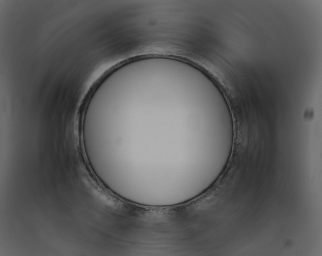 X0000092251078200710051254