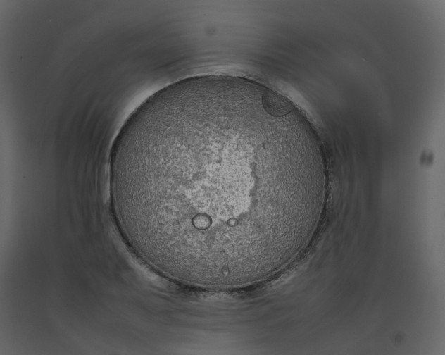 X0000092251079200710051254