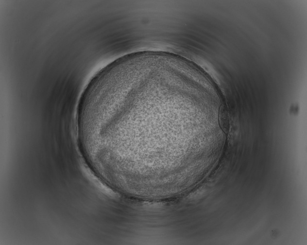 X0000092251080200710051254