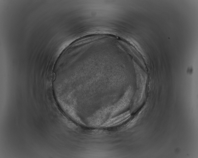 X0000092251081200710051254