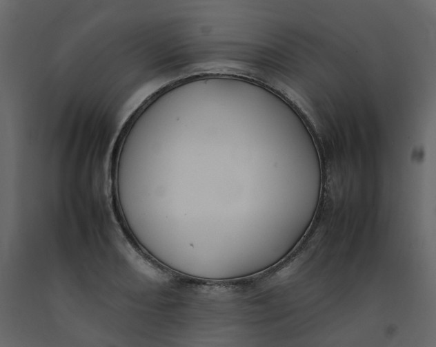 X0000092251082200710051254