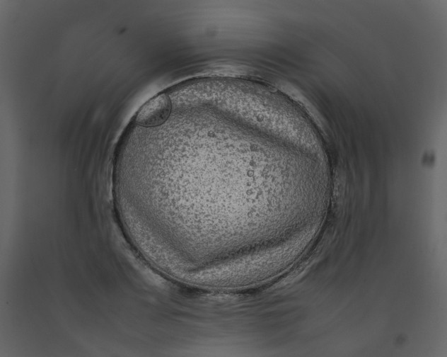 X0000092251083200710051254