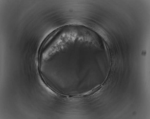 X0000092251084200710051254