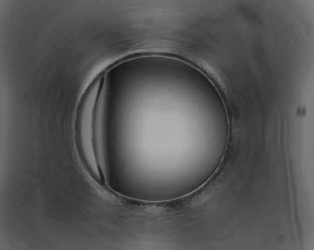 X0000092251085200710051254