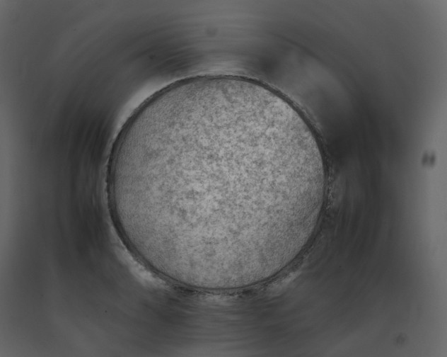 X0000092251086200710051254