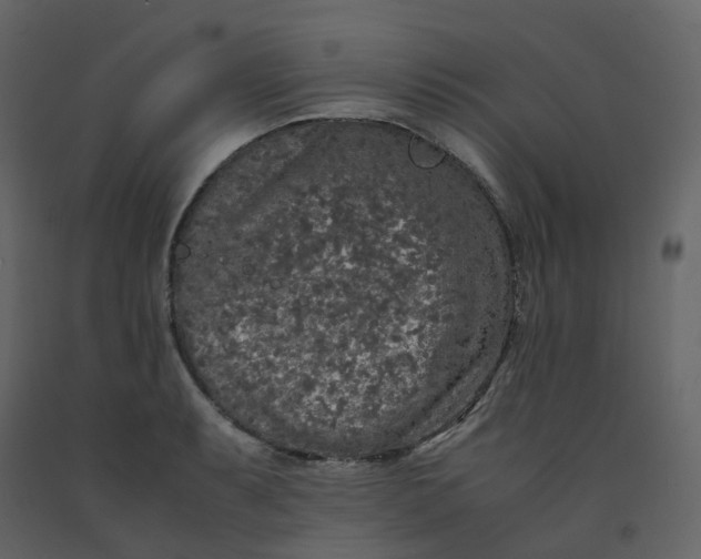 X0000092251087200710051254