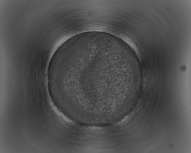 X0000092251088200710051254