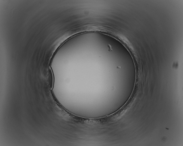 X0000092251089200710051254