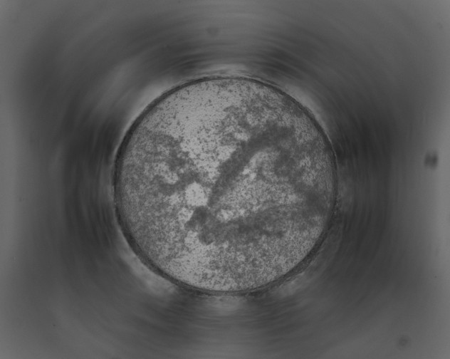 X0000092251090200710051254